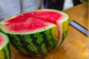 吃瓜学校100集免费看,百集校园风云，免费畅享青春记忆  第3张