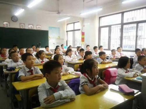 慈溪小学爆料新闻最新,校园事件引发社会关注 第2张 慈溪小学爆料新闻最新,校园事件引发社会关注 第2张