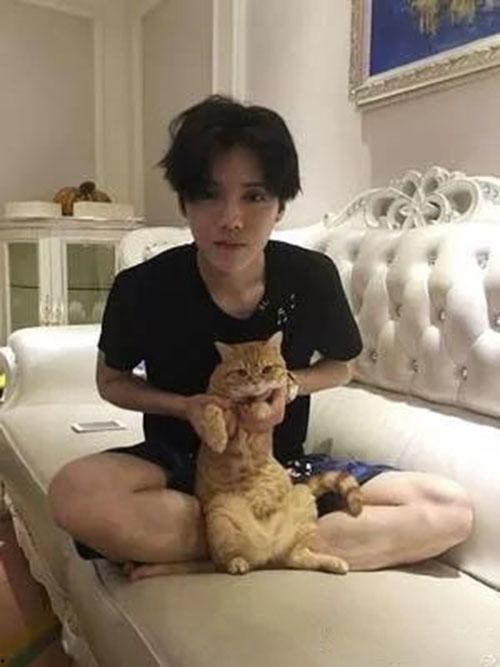 杨八星被爆料结婚视频,甜蜜瞬间见证爱情升华